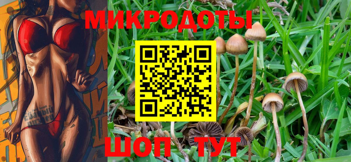 МЕФ Сарапул