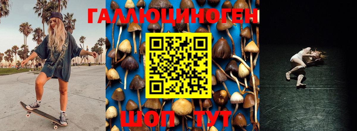 Псилоцибиновые грибы MAGIC MUSHROOMS Сарапул