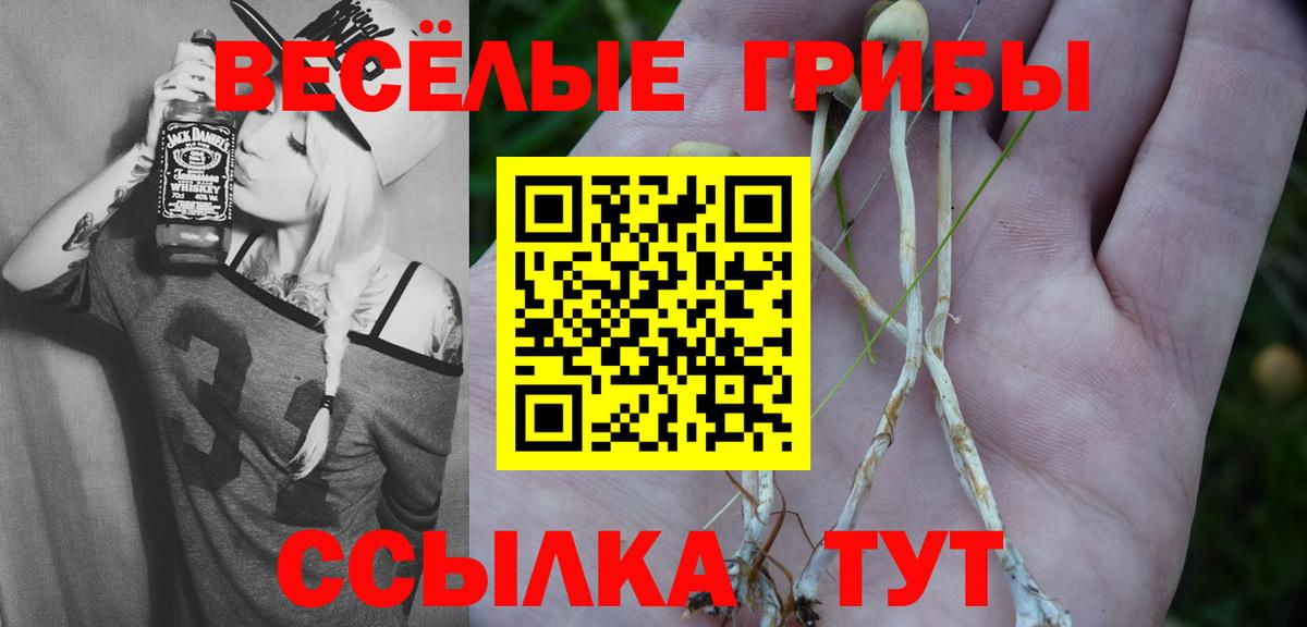 Галлюциногенные грибы MAGIC MUSHROOMS  Вход с VPN  Сарапул 